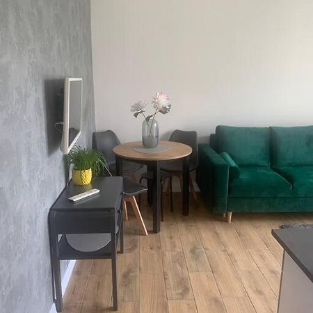 Uroczy Apartament W Centrum Sandomierza Dış mekan fotoğraf