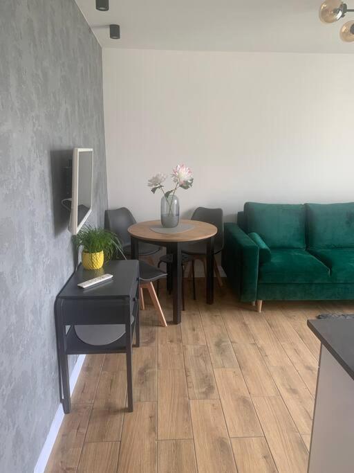 Uroczy Apartament W Centrum Sandomierza Dış mekan fotoğraf